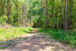 property photo for Whiskey Ridge Tract 98, 14.48 acres for sale in Henderson County, Tennessee