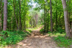 property photo for Whiskey Ridge Tract 98, 14.48 acres for sale in Henderson County, Tennessee
