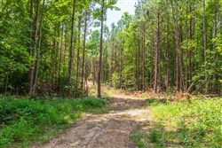 property photo for Whiskey Ridge Tract 98, 14.48 acres for sale in Henderson County, Tennessee