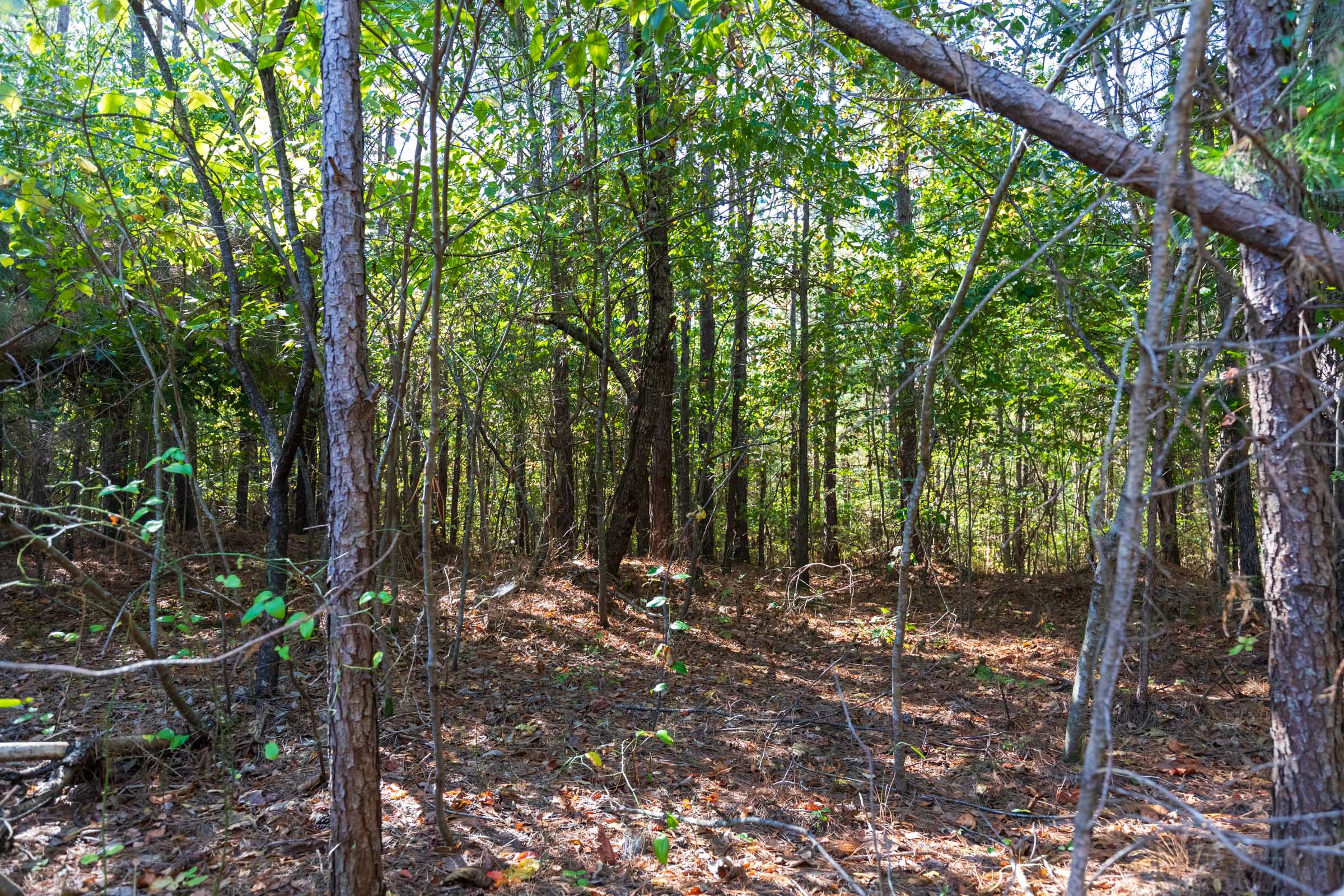 Tract 1 at Bear Brook in Perry County, Tennessee