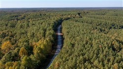 property photo for Bear Brook Tract 1, 9.21 acres for sale in Perry County, Tennessee