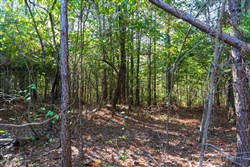 property photo for Bear Brook Tract 1, 9.21 acres for sale in Perry County, Tennessee