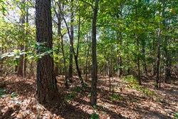 property photo for Bear Brook Tract 1, 9.21 acres for sale in Perry County, Tennessee