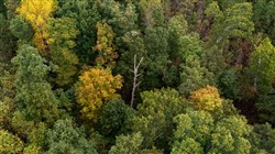 property photo for Bear Brook Tract 1, 9.21 acres for sale in Perry County, Tennessee