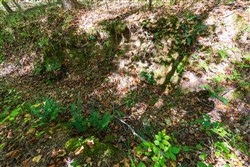 property photo for Bear Brook Tract 1, 9.21 acres for sale in Perry County, Tennessee