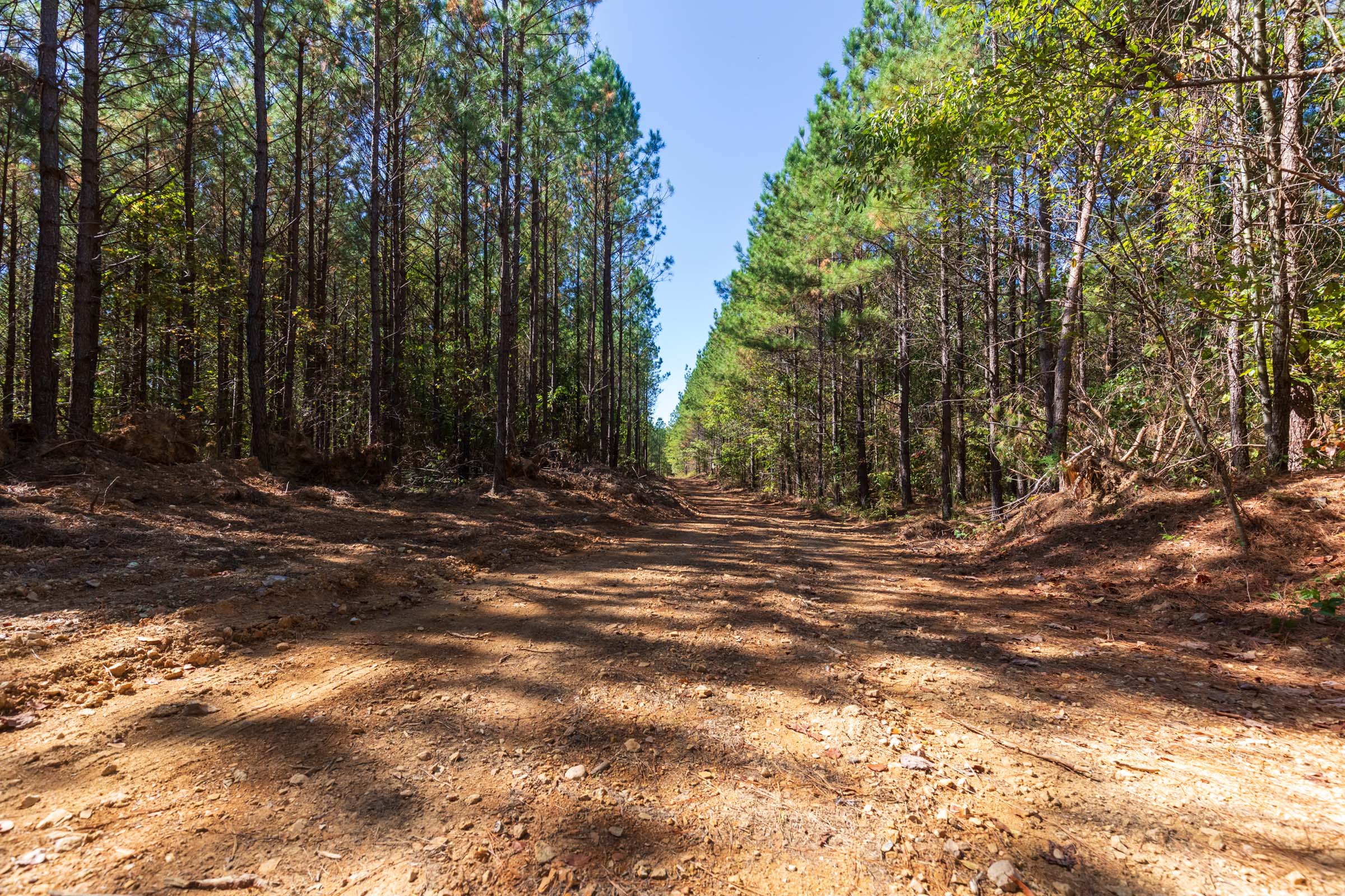 Tract 10 at Bear Brook in Perry County, Tennessee