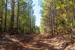 property photo for Bear Brook Tract 10, 9.03 acres for sale in Perry County, Tennessee