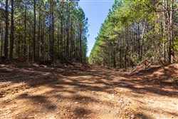 property photo for Bear Brook Tract 10, 9.03 acres for sale in Perry County, Tennessee
