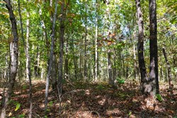 property photo for Bear Brook Tract 10, 9.03 acres for sale in Perry County, Tennessee