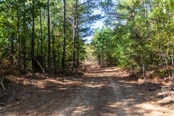 property photo for Bear Brook Tract 11, 9.08 acres for sale in Perry County, Tennessee