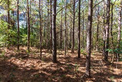 property photo for Bear Brook Tract 11, 9.08 acres for sale in Perry County, Tennessee