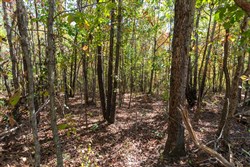 property photo for Bear Brook Tract 11, 9.08 acres for sale in Perry County, Tennessee