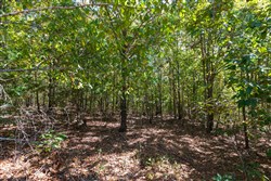 property photo for Bear Brook Tract 11, 9.08 acres for sale in Perry County, Tennessee