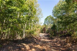 property photo for Bear Brook Tract 12, 12.33 acres for sale in Perry County, Tennessee