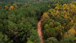 property photo for Bear Brook Tract 12, 12.33 acres for sale in Perry County, Tennessee