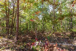 property photo for Bear Brook Tract 12, 12.33 acres for sale in Perry County, Tennessee