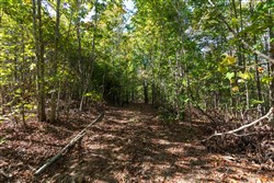 property photo for Bear Brook Tract 12, 12.33 acres for sale in Perry County, Tennessee