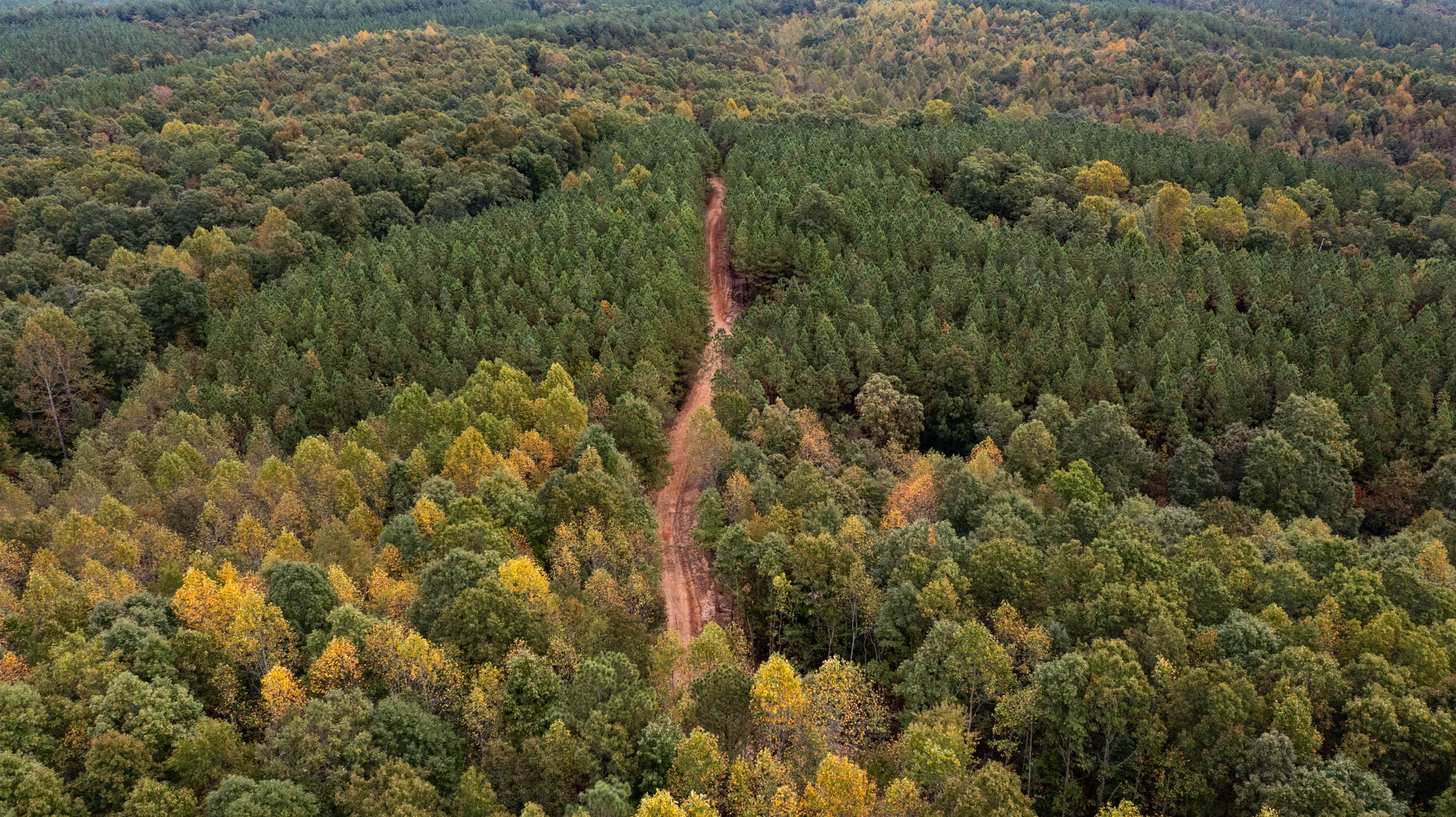 Tract 13 at Bear Brook in Perry County, Tennessee
