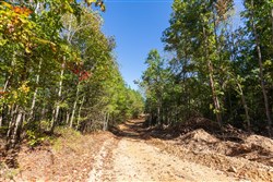 property photo for Bear Brook Tract 13, 10.44 acres for sale in Perry County, Tennessee
