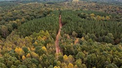 property photo for Bear Brook Tract 13, 10.44 acres for sale in Perry County, Tennessee