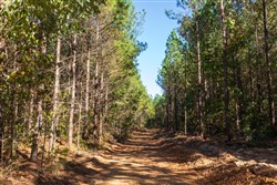 property photo for Bear Brook Tract 13, 10.44 acres for sale in Perry County, Tennessee