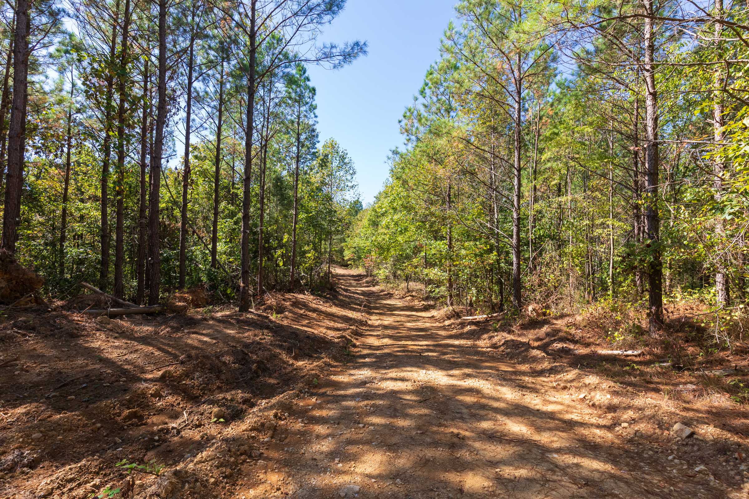 Tract 14 at Bear Brook in Perry County, Tennessee