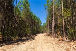 property photo for Bear Brook Tract 14, 9.81 acres for sale in Perry County, Tennessee