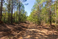 property photo for Bear Brook Tract 14, 9.81 acres for sale in Perry County, Tennessee