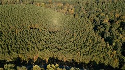 property photo for Bear Brook Tract 14, 9.81 acres for sale in Perry County, Tennessee