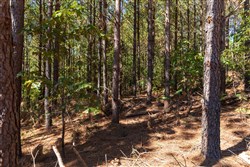 property photo for Bear Brook Tract 14, 9.81 acres for sale in Perry County, Tennessee