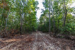property photo for Bear Brook Tract 15, 11.16 acres for sale in Perry County, Tennessee
