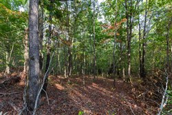property photo for Bear Brook Tract 15, 11.16 acres for sale in Perry County, Tennessee