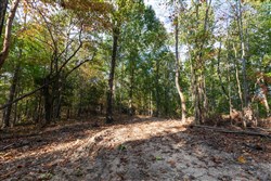 property photo for Bear Brook Tract 15, 11.16 acres for sale in Perry County, Tennessee