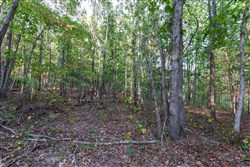 property photo for Bear Brook Tract 15, 11.16 acres for sale in Perry County, Tennessee