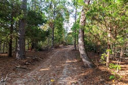 property photo for Bear Brook Tract 15, 11.16 acres for sale in Perry County, Tennessee