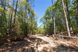 property photo for Bear Brook Tract 16, 10.7 acres for sale in Perry County, Tennessee