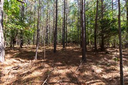 property photo for Bear Brook Tract 16, 10.7 acres for sale in Perry County, Tennessee