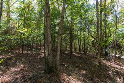 property photo for Bear Brook Tract 16, 10.7 acres for sale in Perry County, Tennessee