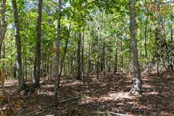 property photo for Bear Brook Tract 16, 10.7 acres for sale in Perry County, Tennessee