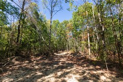 property photo for Bear Brook Tract 16, 10.7 acres for sale in Perry County, Tennessee