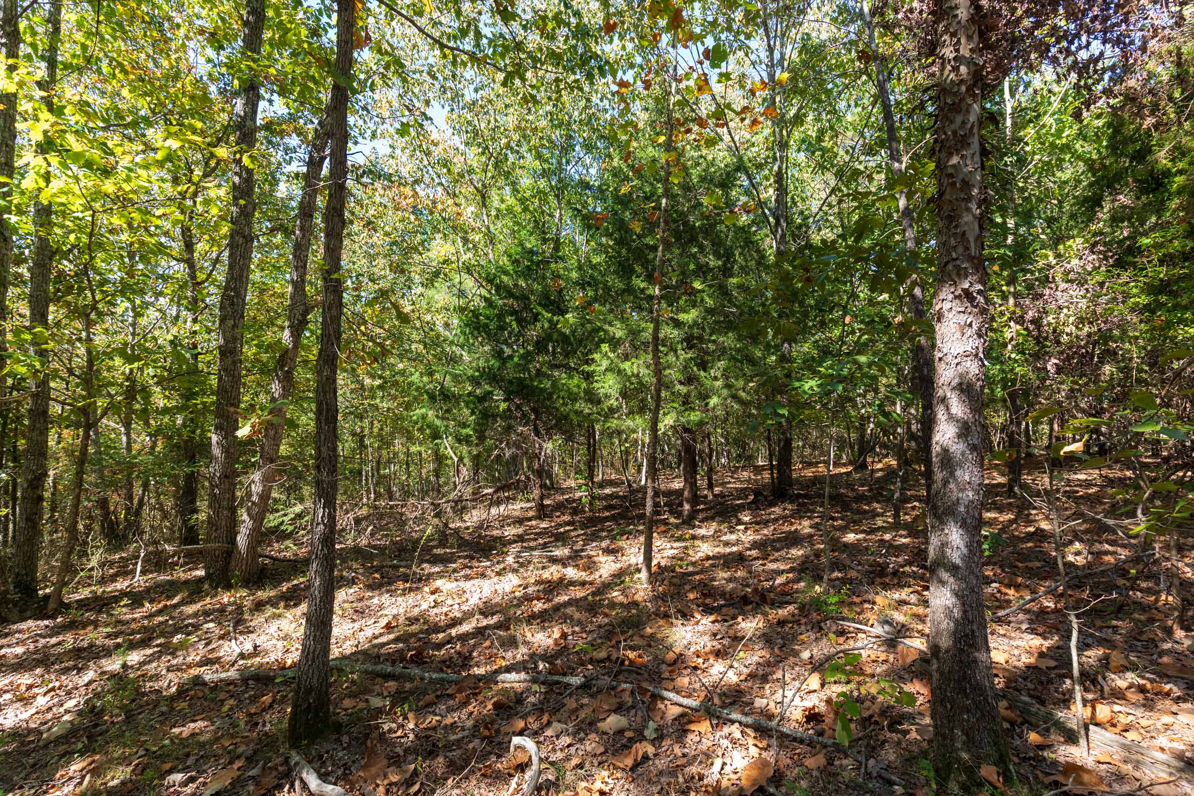 Tract 17 at Bear Brook in Perry County, Tennessee