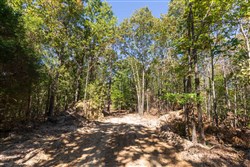 property photo for Bear Brook Tract 17, 11.61 acres for sale in Perry County, Tennessee