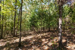 property photo for Bear Brook Tract 17, 11.61 acres for sale in Perry County, Tennessee