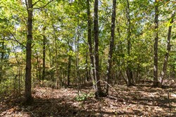property photo for Bear Brook Tract 17, 11.61 acres for sale in Perry County, Tennessee