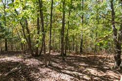 property photo for Bear Brook Tract 17, 11.61 acres for sale in Perry County, Tennessee