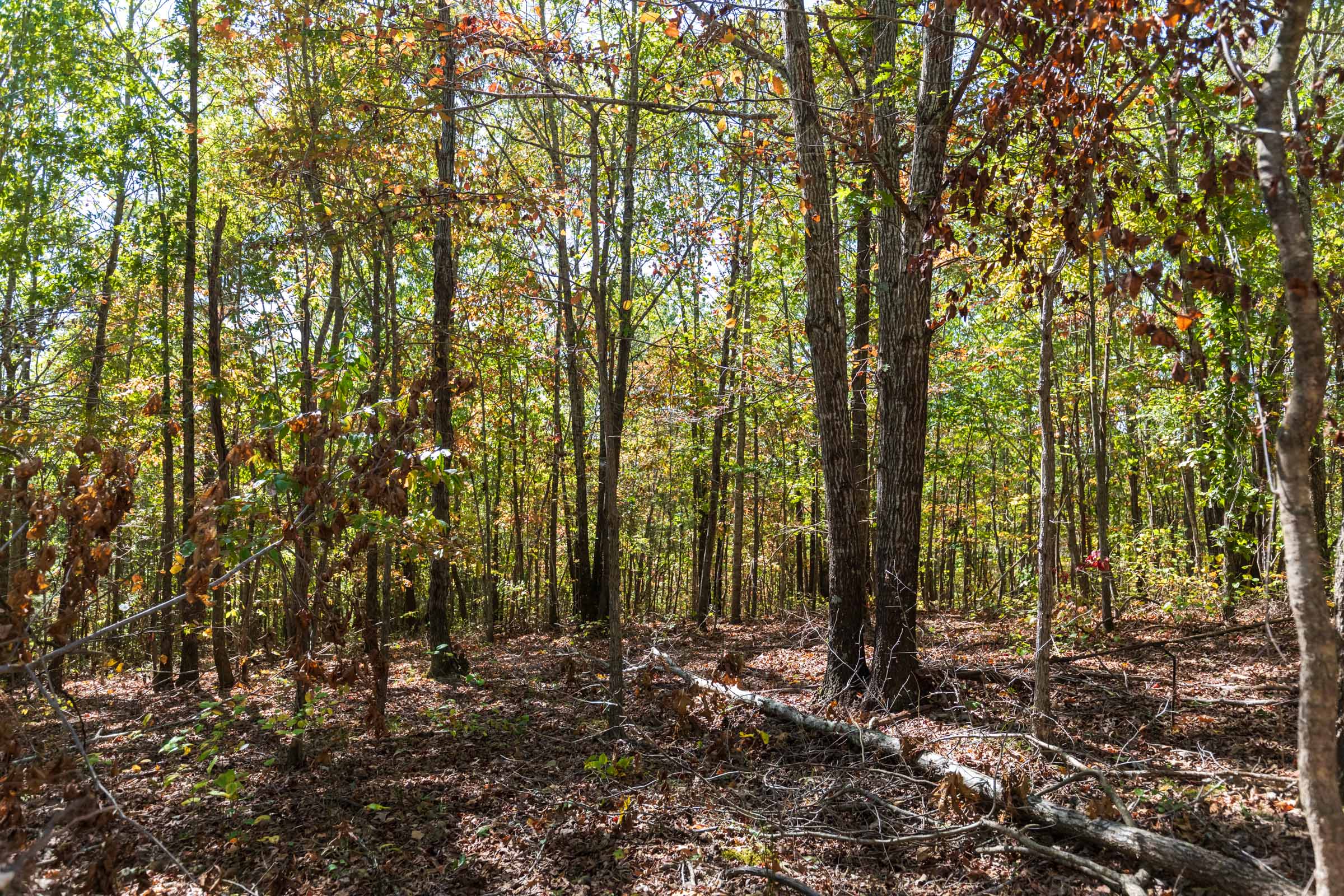 Tract 18 at Bear Brook in Perry County, Tennessee