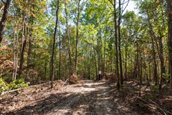 property photo for Bear Brook Tract 18, 12.82 acres for sale in Perry County, Tennessee