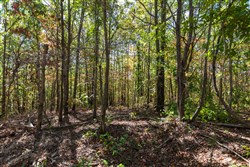 property photo for Bear Brook Tract 18, 12.82 acres for sale in Perry County, Tennessee