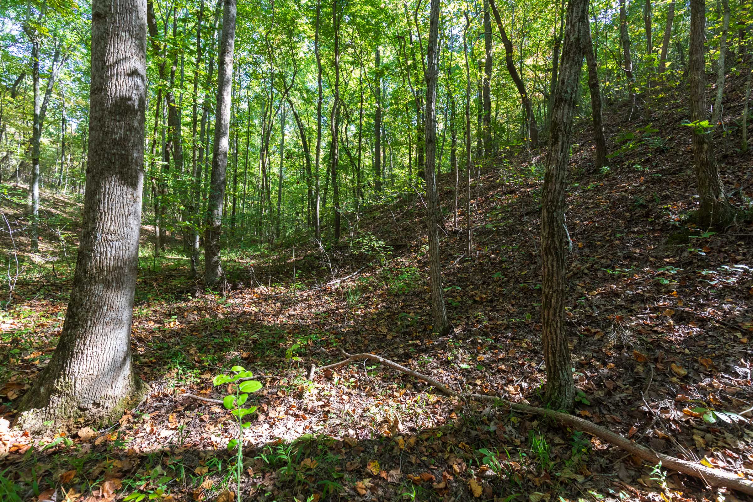 Tract 2 at Bear Brook in Perry County, Tennessee