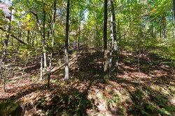 property photo for Bear Brook Tract 2, 8.59 acres for sale in Perry County, Tennessee